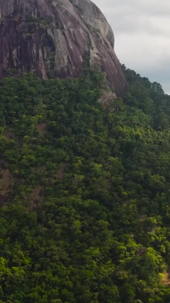 Ovanifrån Tropiskt Landskap Med Berg Och Djungel Sri Lanka — Stockvideo