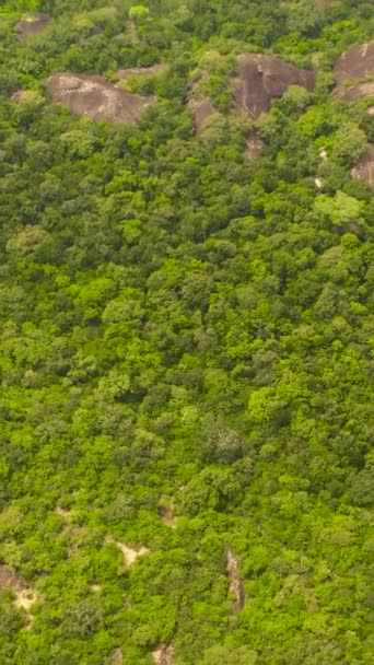 Dron Powietrzny Formacji Skalnych Wśród Lasów Deszczowych Dżungli Park Narodowy — Wideo stockowe