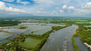 Nehir yatağındaki tarım arazisi ve balık çiftliği. Hinigaran Nehri. Zenciler, Filipinler