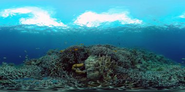 Renkli tropikal mercan resifi. Sahne resifi. Suyun altında deniz manzarası. Filipinler. Sanal Gerçeklik 360.