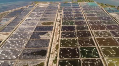 Karides çiftliği, karides çiftliği ve havalandırma pompalı okyanus yakınında oksijen suyu. Balık, karides ve diğer deniz ürünleri yetiştiren göletli balık çiftliği. Balık kuluçka göleti havadan görünüşlü su kültürü.