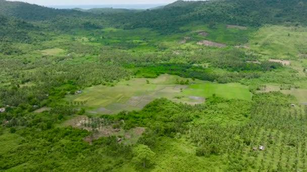 Letecký Pohled Zemědělskou Půdu Hory Zeleným Lesem Palawan Filipíny Balabac — Stock video