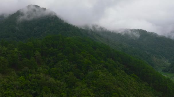 Berge Mit Regenwald Und Dschungel Der Bergigen Provinz Der Philippinen — Stockvideo
