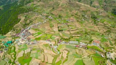 Asya 'da tarım arazisi. Filipinler 'in dağlarında bitkilerle tarlalar, ekinler.