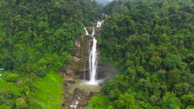 Yağmur ormanlarındaki şelale. Dağ ormanında tropik Aberdeen Şelalesi. Sri Lanka.