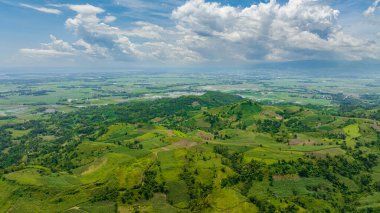 Top view of plantations of sugar cane and agricultural land on the slopes of the hills. Negros, Philippines