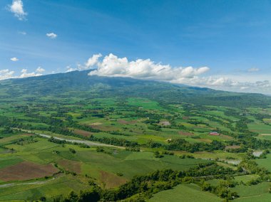 Aerial drone of sugarcane plantations and agricultural land in the countryside. Negros, Philippines