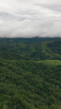Sumatra, Endonezya 'daki yeşil bitki örtüsü ve ağaçlı dağ ve tepelerin en üst manzarası. Dikey video.