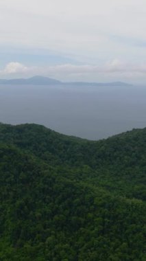 Ormanı ve mavi denizi olan Weh Adası 'nın en üst manzarası. Ah, Endonezya. Dikey video.