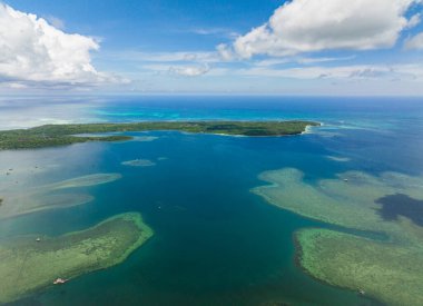 Adanın kıyısındaki yağmur ormanlarının ve ormanların insansız hava aracı. Balabac, Palawan. Filipinler.