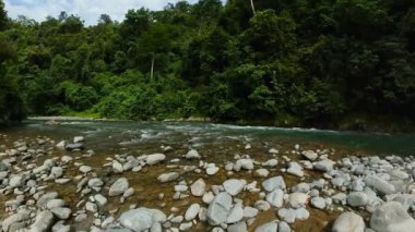 Ormanın ortasında ünlü bir turist mekanı olan Bukit Lawang 'da bir nehir. Sumatra, Endonezya.