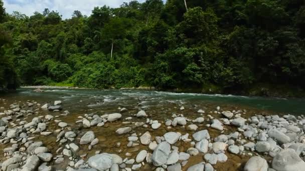 Ein Fluss Inmitten Des Dschungels Einem Berühmten Touristenort Bukit Lawang — Stockvideo