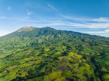 Canlaon volkanının hava aracı ve dağ yamaçlarındaki tarım arazisi. Zenciler, Filipinler