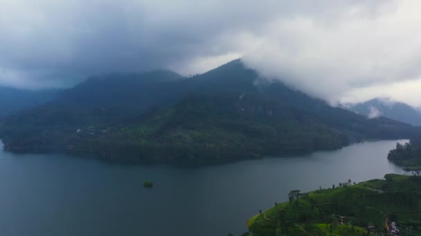 Dağların Arasındaki Göl Manzarası Çay Bahçeli Yeşil Tepeler Maskeliya Maussakelle — Stok video