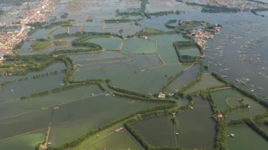 Filipinler kırsalındaki balık göleti çiftliğinin insansız hava aracı..