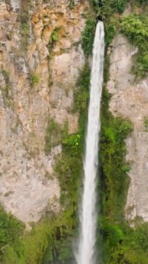 Yağmur ormanları ve bitki örtüsü arasında güzel bir şelale. Sipiso Piso düşüyor. Sumatra, Endonezya. Dikey video.
