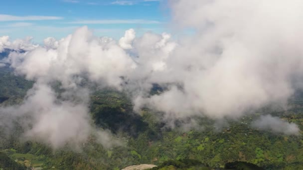 Luftaufnahme Der Berghänge Mit Regenwald Und Dschungel Philippinen — Stockvideo