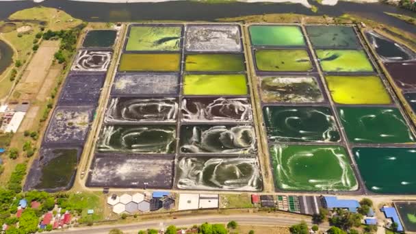 Aerial View Pump Ponds Shrimp Farm Philippines Prawn Farm Aerator — Stock video