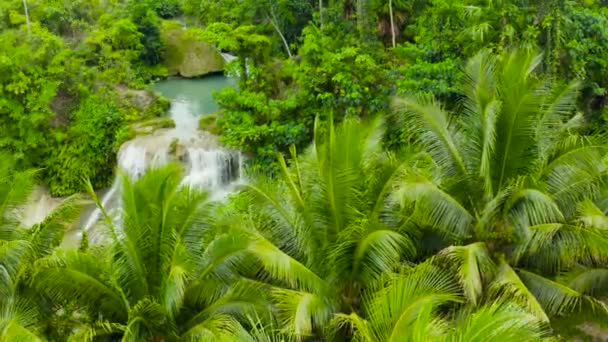 Vista Aérea Selva Cachoeira Uma Floresta Tropical Cercada Por Vegetação — Vídeo de Stock