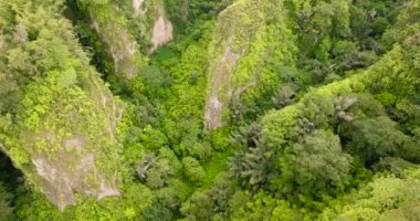 Yağmur ormanları ve ormanlı dağ kanyonu manzarası. Ngarai Sianok. Bukittinggi, Sumatra, Endonezya.