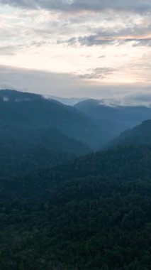 Tropiklerde gün batımında dağların ve ormanın havadan görünüşü. Bukit Lawang. Sumatra, Endonezya. Dikey video.