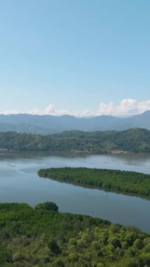 Dağların arka planında tropikal bitki örtüsü olan mangrovlu körfez. Borneo, Malezya. Dikey video.