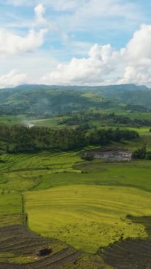 Pirinç tarlalarının havadan görünüşü ve dağ vadisindeki çiftçilerin tarlaları. Zenciler, Filipinler