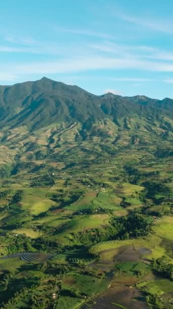 加隆火山的空中无人飞机和山坡上的农田 Negros 菲律宾 — 图库视频影像