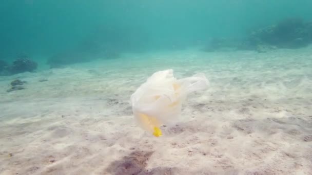 Пластиковые Мешки Загрязняют Коралловый Риф Загрязняют Окружающую Среду Пластиковый Пакет — стоковое видео