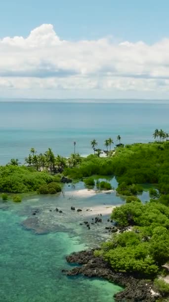 Tropical Island Shore Rainforest Jungle Virgin Island Philippines — Wideo stockowe