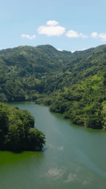 Vista Superior Montañas Colinas Con Vegetación Verde Árboles Los Trópicos — Vídeos de Stock