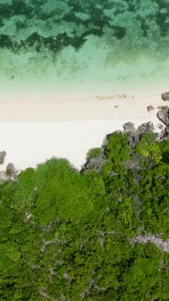 Drone Aéreo Bela Praia Areia Com Palmeiras Mar Calmo Ilha — Vídeo de Stock