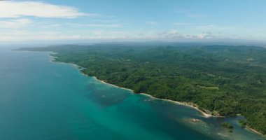Borneo adasının tropikal manzarasının havadan görünüşü. Sabah, Malezya.