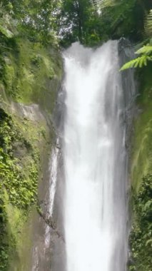 Waterfall in the rainforest. Slow motion. Tropical Casaroro Falls in mountain jungle. Negros, Philippines.