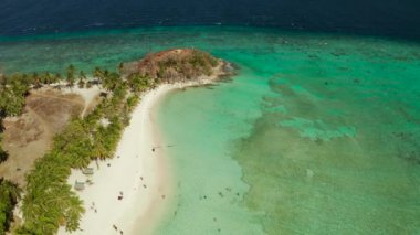Kumsalı, palmiye ağaçları ve berrak mavi suyu olan hava aracı adası. Malcapuya, Filipinler, Palawan. Mavi lagün ve mercan resifli tropik bir manzara.