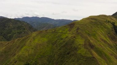 Tropikal bitki örtüsü olan dağ yamaçları. Filipinler.