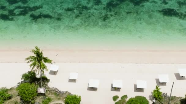 Tropikalna Plaża Palmami Błękitnym Oceanem Wyspa Bantayan Filipiny — Wideo stockowe