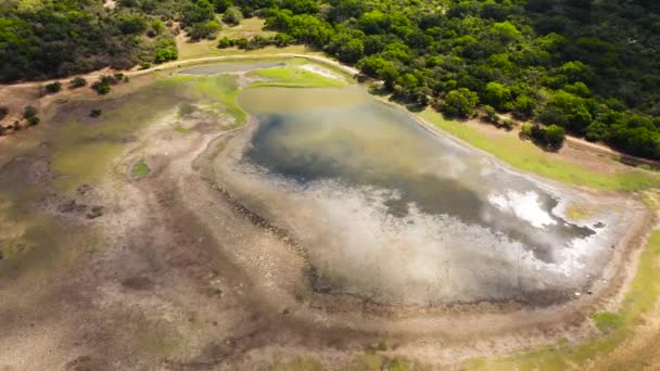 在丛林中的库马那国家公园里干涸的湖水 斯里兰卡 — 图库视频影像