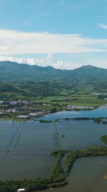 Aerial drone of coast of Negros Island with farmland and town. Negros, Philippines.