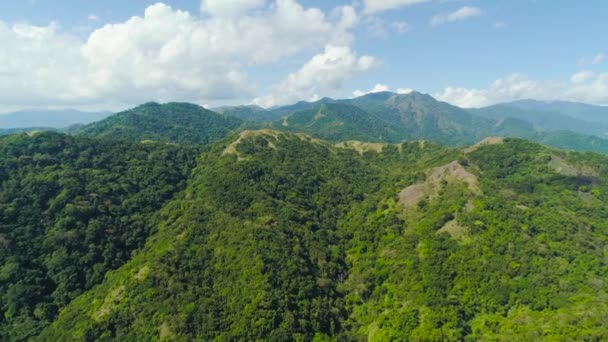 Bergslandskap Tropisk Med Bergstoppar Täckta Med Skog Filippinerna — Stockvideo