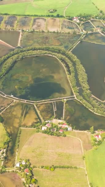 Vue Dessus Des Rizières Inondées Des Terres Agricoles Campagne Paysage — Video