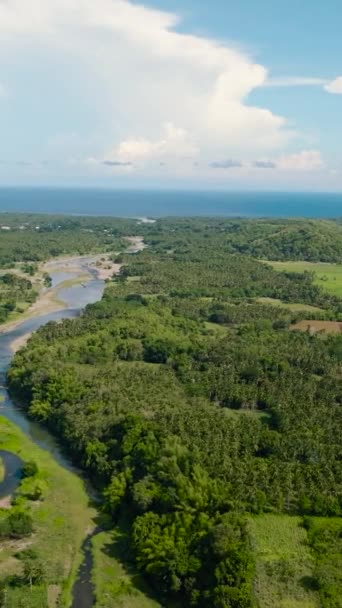 Rivière Parmi Les Terres Agricoles Rizières Sous Les Tropiques Negros — Video