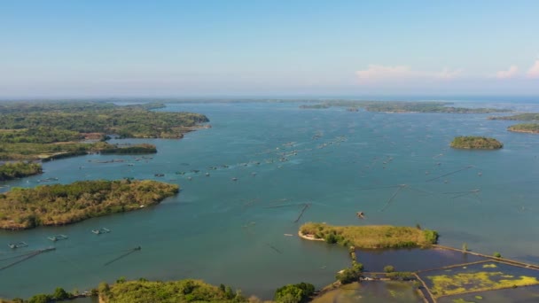 자동차 물고기 농업의 거대한 라운드 케이지에 바다베이스와 브레임의 필리핀 — 비디오