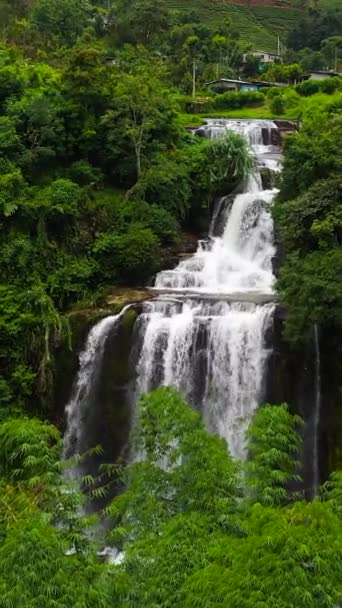 Wodospad Wśród Plantacji Herbaty Wodospad Mount Vernon Sri Lanka Pionowe — Wideo stockowe