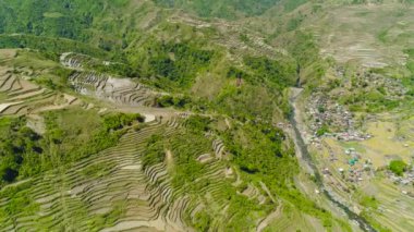 Büyüyen ekinleri ve bulutları mavi gökyüzüne karşı olan dağları olan verimli tarım arazileri. Filipinler.