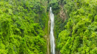 Yağmur ormanlarındaki şelale yukarıdan geliyor. Tropik Mantayupan Şelalesi dağ ormanında. Filipinler, Cebu.