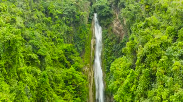 Cachoeira Selva Floresta Tropical Cima Tropical Mantayupan Falls Selva Montanha — Vídeo de Stock