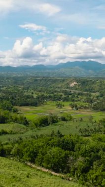 Tarım arazisi ve pirinç tarlaları olan dağ vadisi. Zenciler, Filipinler
