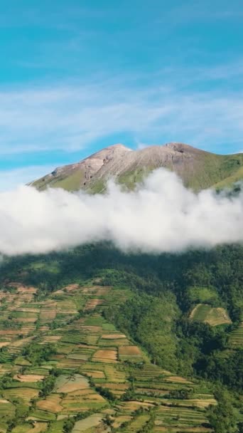靠近佳能火山的山区的农业和农田的空中景观 Negros 菲律宾 — 图库视频影像