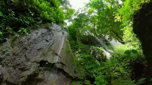 热带雨林中美丽的瀑布 热带山区丛林中的小瀑布 — 图库视频影像